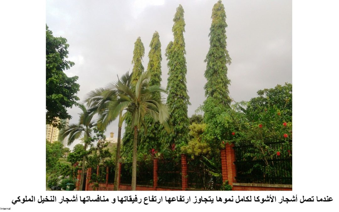 Slide57