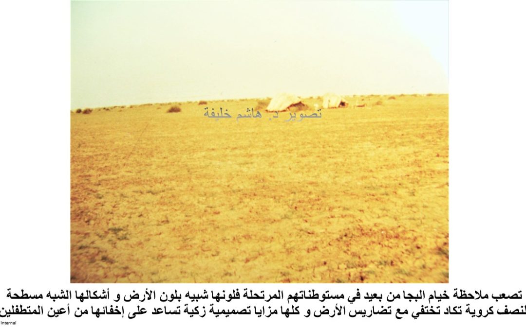 Slide12